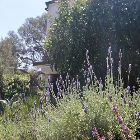 Cappelli Apartments - Losinj Mali Lošinj Esterno foto